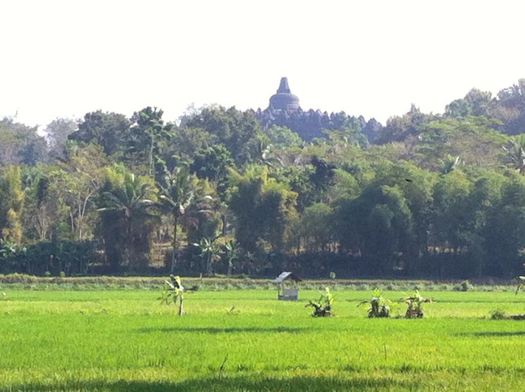 מגלאנג Anugrah Borobudur מראה חיצוני תמונה
